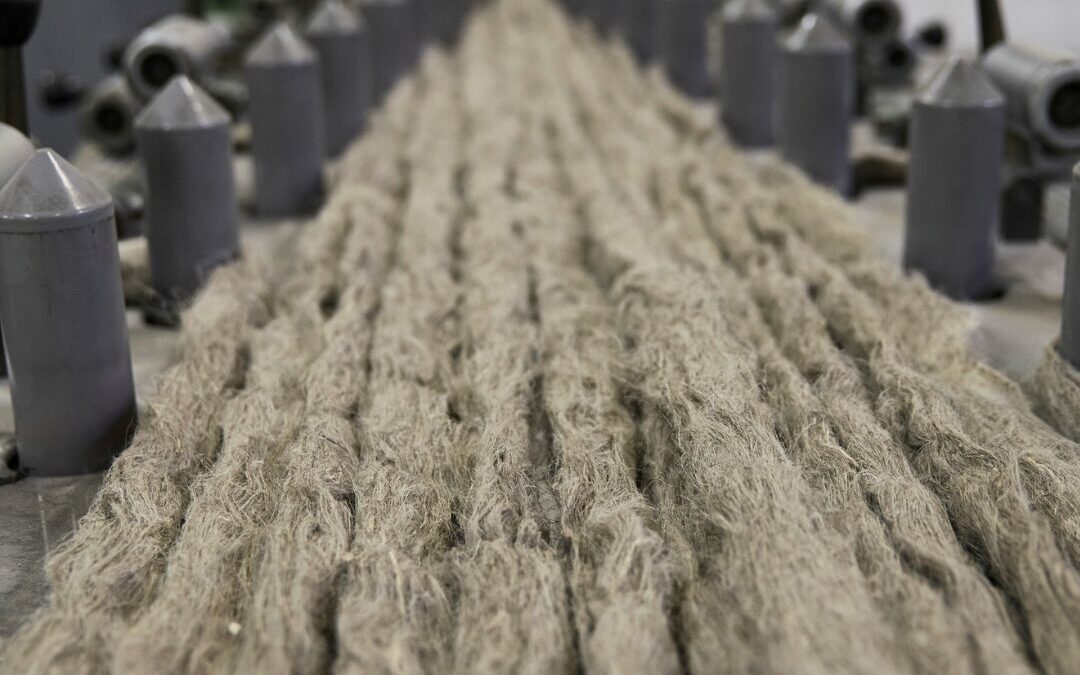 🌿 Le Lin : Une fibre d’excellence en pleine renaissance 🌿