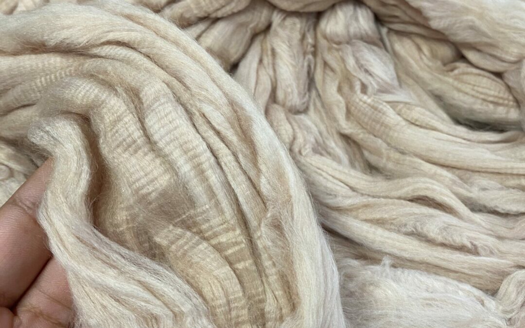 Peignage Dumortier agit pour une industrie textile plus responsable ! 🌍